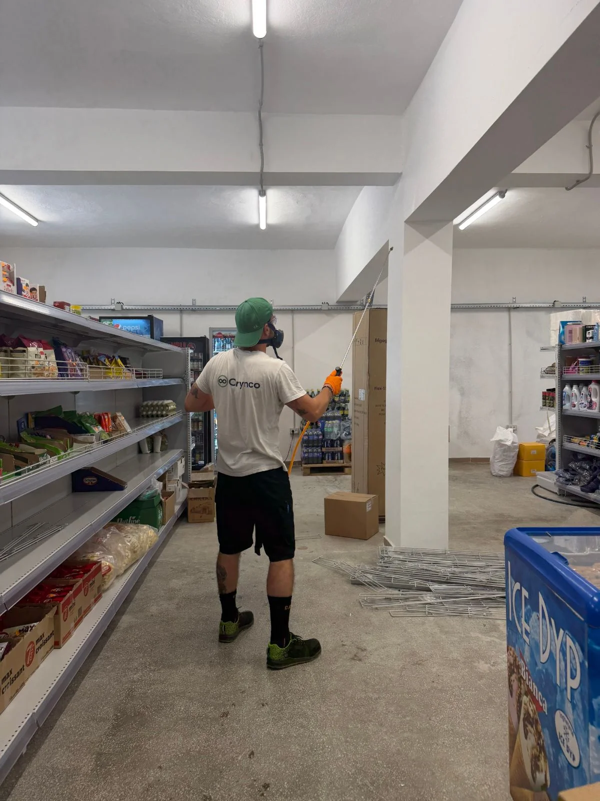 Coperta proiectului Dezinsecție într-un magazin alimentar